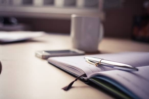 Consultation en visioconférence — 30 min